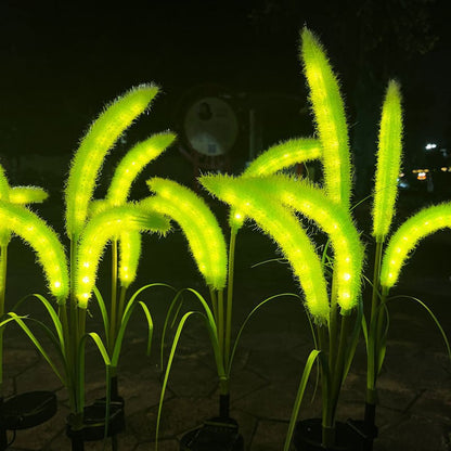 Chikalabs Outdoor Garden Solar Flower Lights