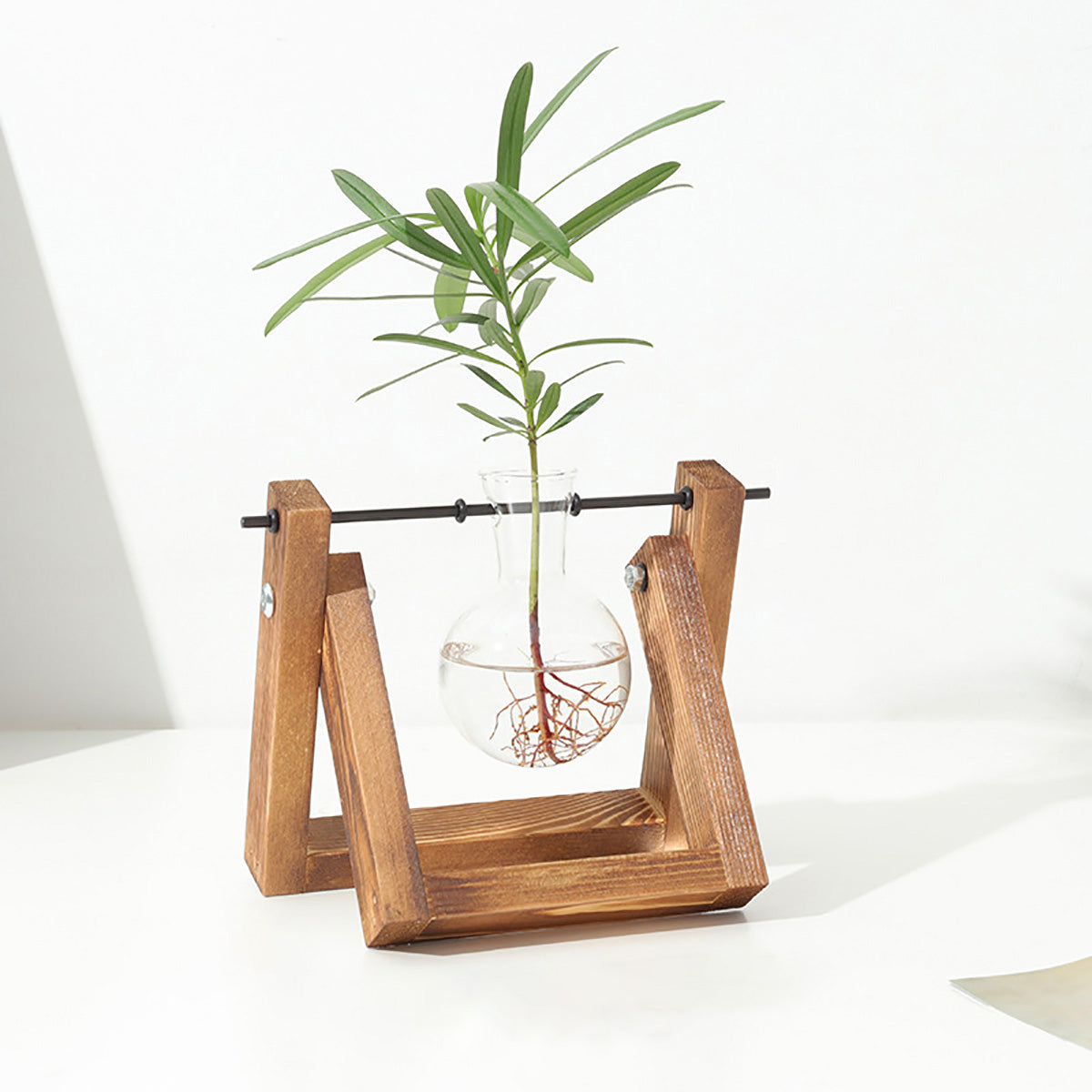 Chikalabs Plant Propagation Swing Stations Glass Terrarium