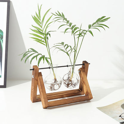 Chikalabs Plant Propagation Swing Stations Glass Terrarium