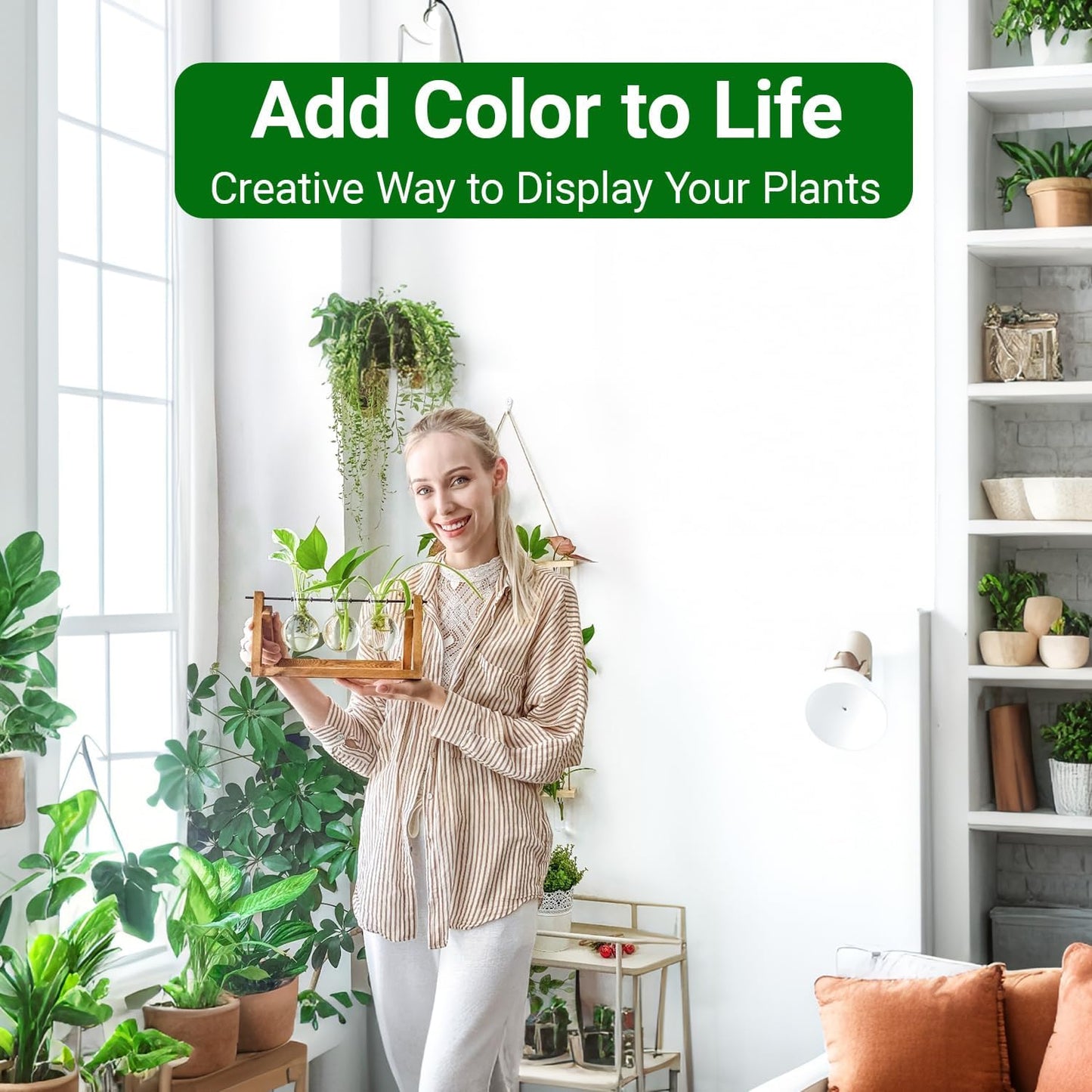 Chikalabs Plant Propagation Swing Stations Glass Terrarium