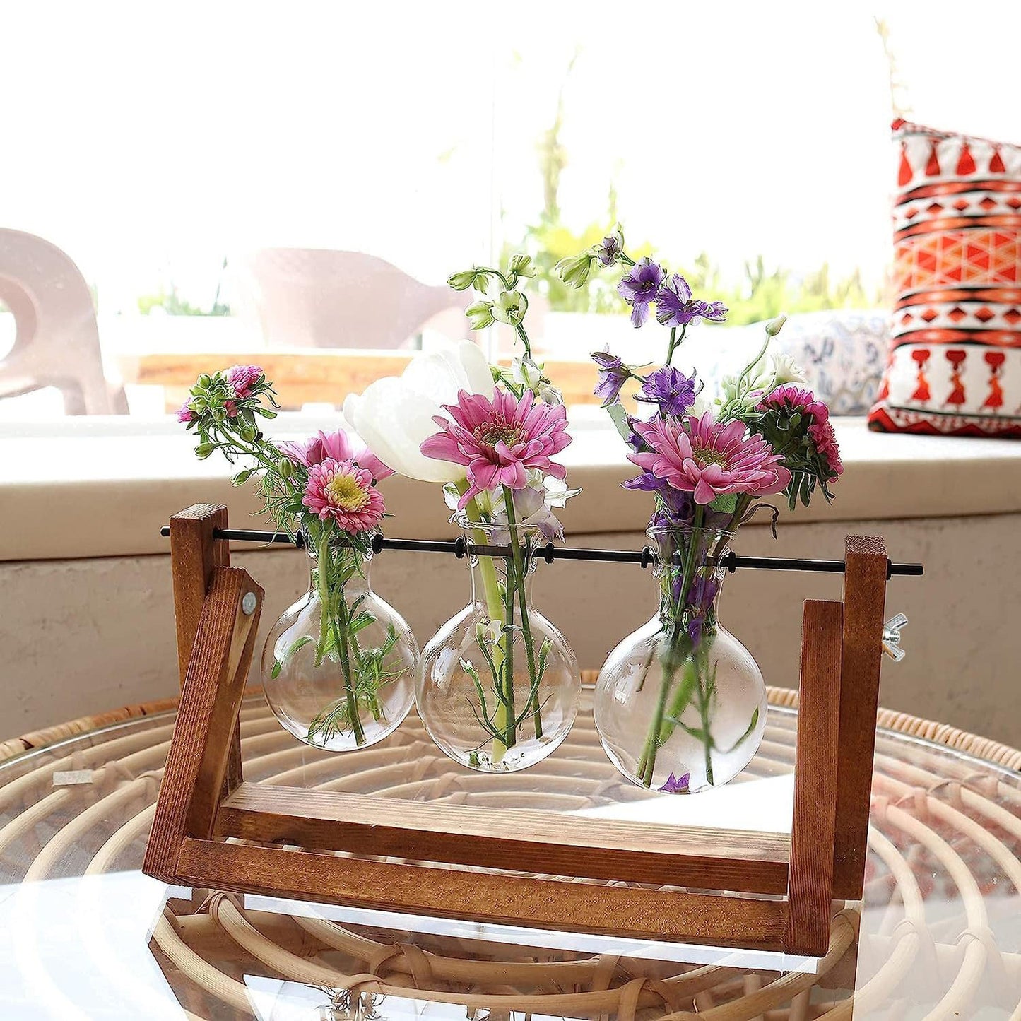 Chikalabs Plant Propagation Swing Stations Glass Terrarium