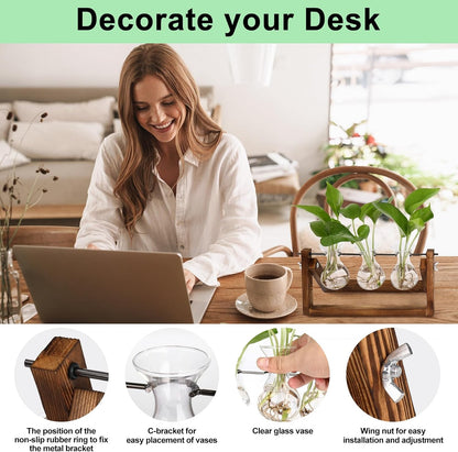 Chikalabs Plant Propagation Swing Stations Glass Terrarium