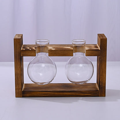 Chikalabs Plant Propagation Stations Glass Terrarium