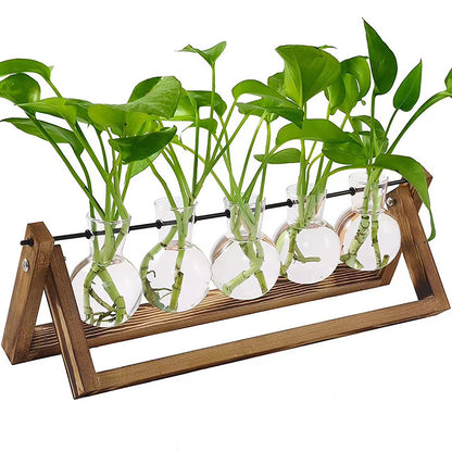 Chikalabs 5 Bulbs Plant Propagation Swing Stations Glass Terrarium