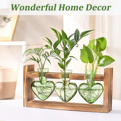 Chikalabs Green Heart Plant Propagation Stations Glass Terrarium