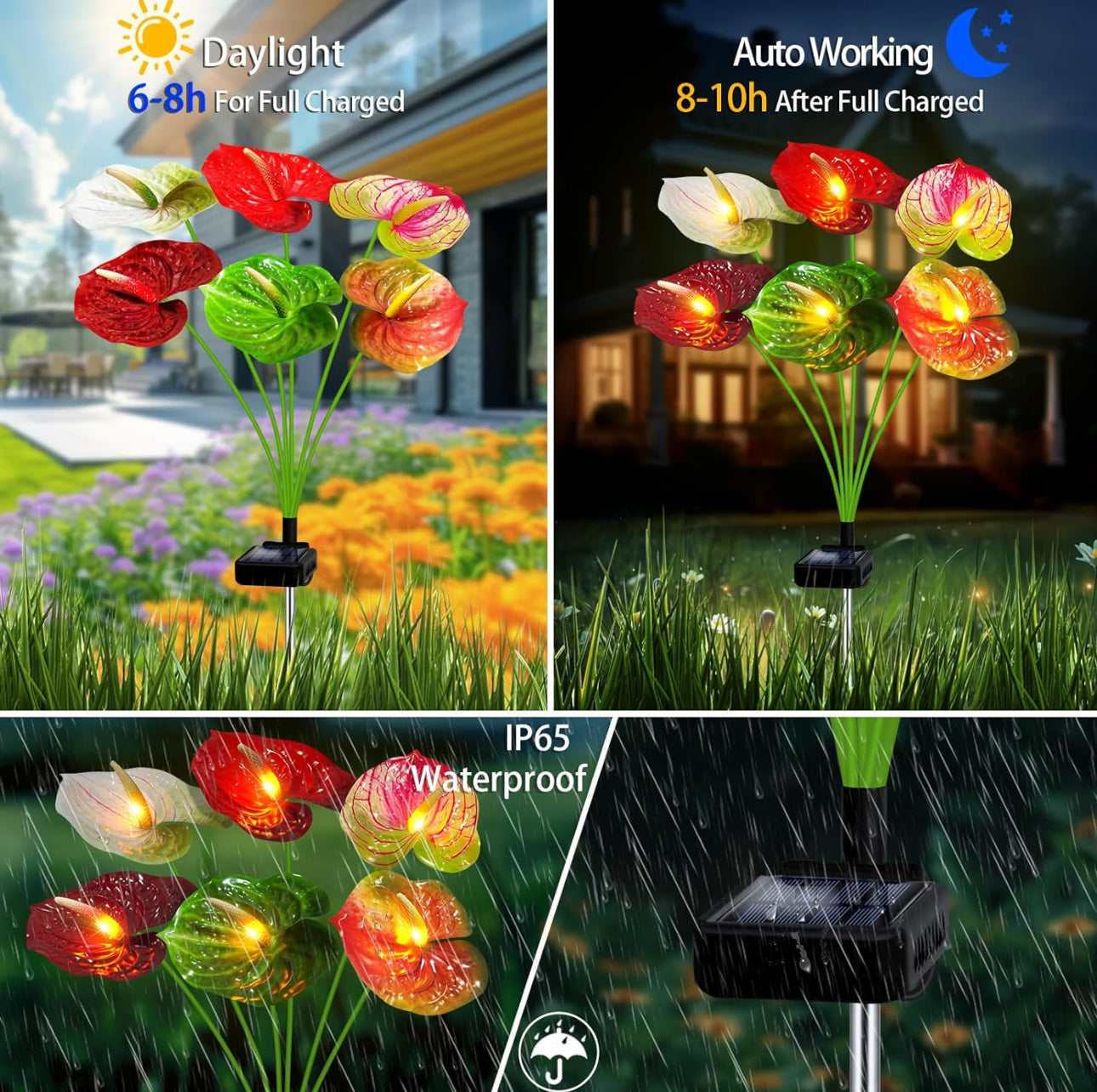 💐Chikalabs Anthurium Flowers Garden Solar Lights 2 Pack-16 Flowers