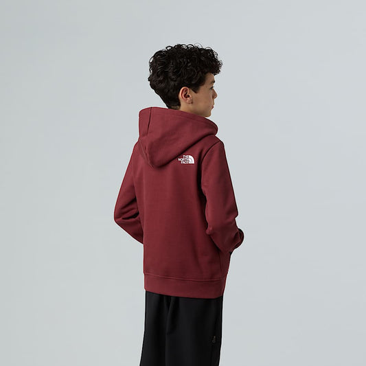 Teens' Drew Peak Pullover Hoodie