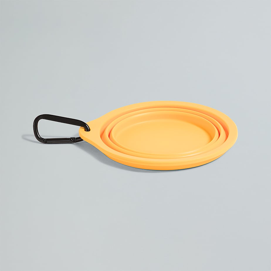 Collapsible Pet Bowl