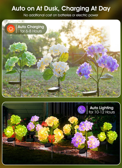 💐Chikalabs Garden Rose Solar Flower Lights