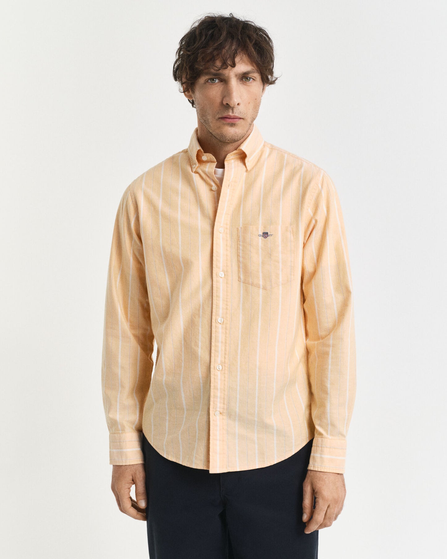 Regular Fit Striped Classic Oxford Shirt